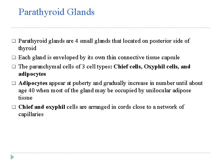 Parathyroid Glands q q q Parathyroid glands are 4 small glands that located on