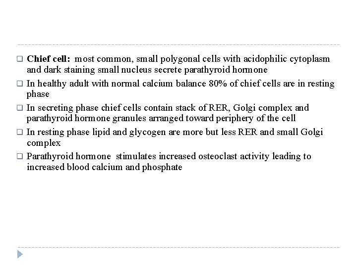 q q q Chief cell: most common, small polygonal cells with acidophilic cytoplasm and
