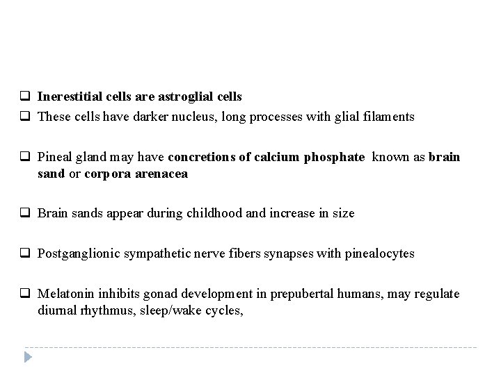 q Inerestitial cells are astroglial cells q These cells have darker nucleus, long processes