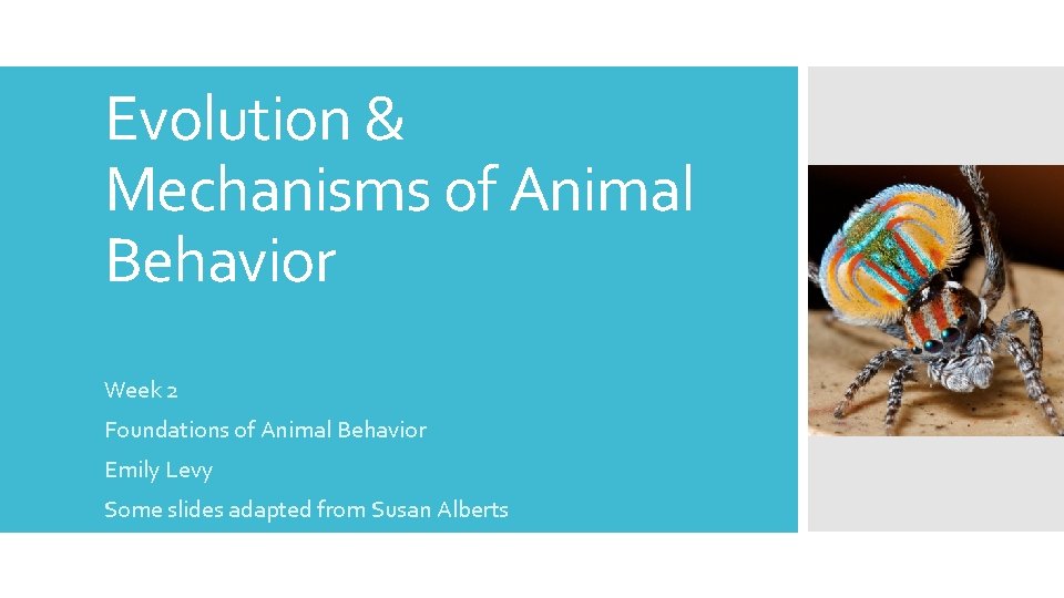 Evolution & Mechanisms of Animal Behavior Week 2 Foundations of Animal Behavior Emily Levy