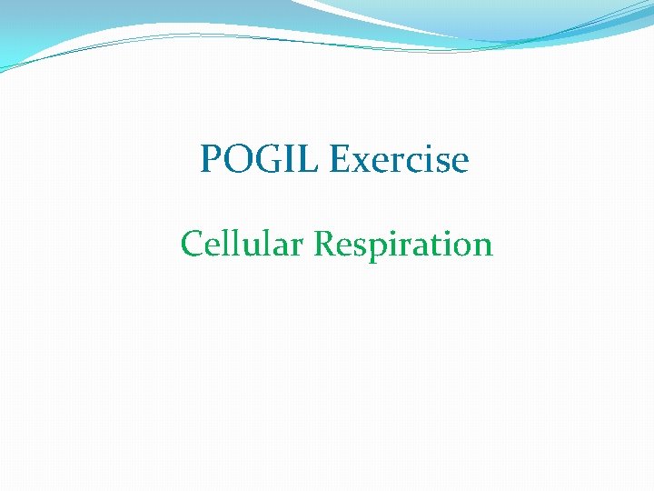 POGIL Exercise Cellular Respiration 