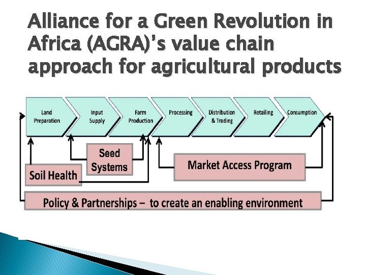 Alliance for a Green Revolution in Africa (AGRA)’s value chain approach for agricultural products