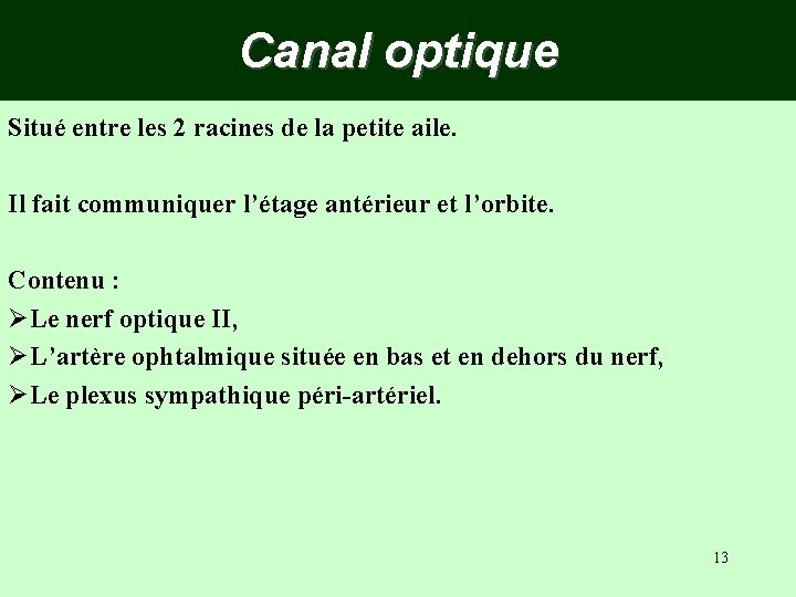 Canal optique Situé entre les 2 racines de la petite aile. Il fait communiquer