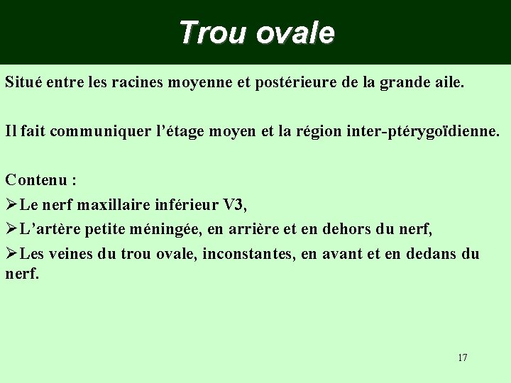 Trou ovale Situé entre les racines moyenne et postérieure de la grande aile. Il