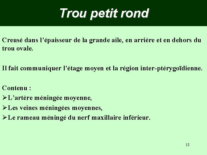 Trou petit rond Creusé dans l’épaisseur de la grande aile, en arrière et en