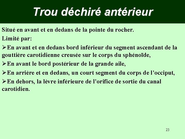 Trou déchiré antérieur Situé en avant et en dedans de la pointe du rocher.