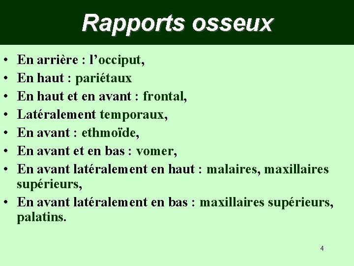 Rapports osseux • • En arrière : l’occiput, En haut : pariétaux En haut