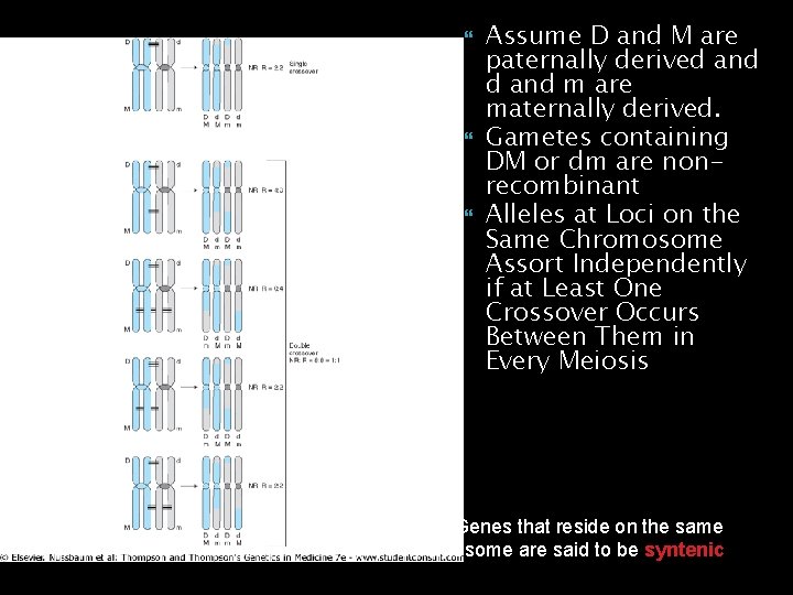 Assume D and M are paternally derived and m are maternally derived. Gametes