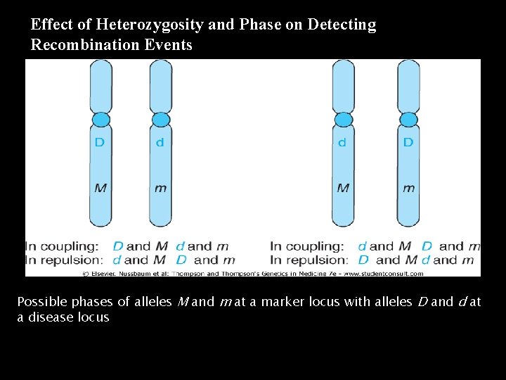 Effect of Heterozygosity and Phase on Detecting Recombination Events Possible phases of alleles M