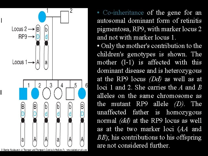  • Co-inheritance of the gene for an autosomal dominant form of retinitis pigmentosa,