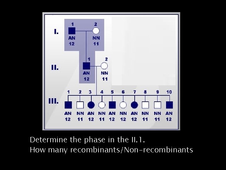 Determine the phase in the II. 1. How many recombinants/Non-recombinants 