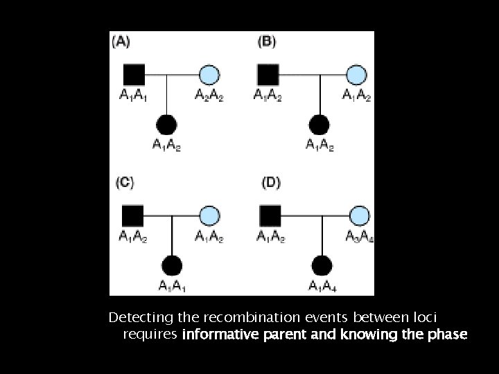 Detecting the recombination events between loci requires informative parent and knowing the phase 