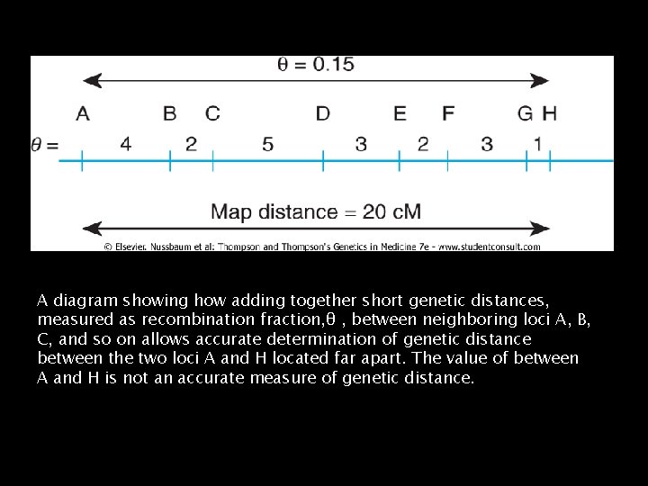 A diagram showing how adding together short genetic distances, measured as recombination fraction, θ