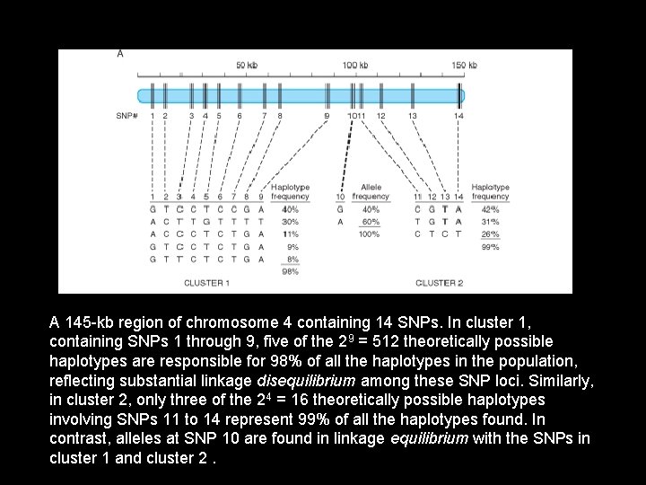 A 145 -kb region of chromosome 4 containing 14 SNPs. In cluster 1, containing