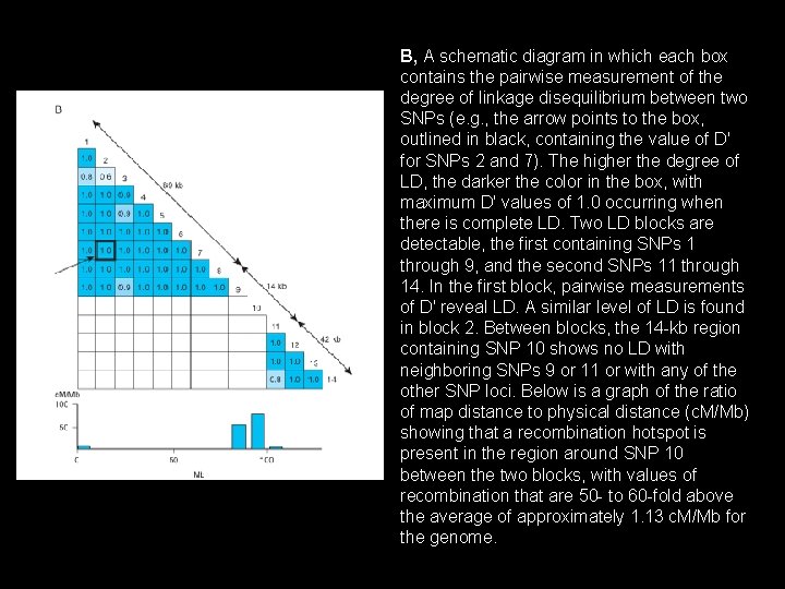 B, A schematic diagram in which each box contains the pairwise measurement of the