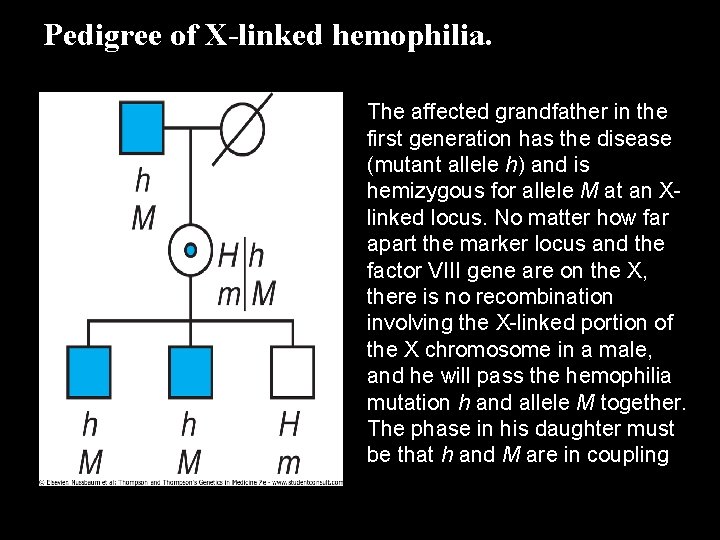 Pedigree of X-linked hemophilia. The affected grandfather in the first generation has the disease
