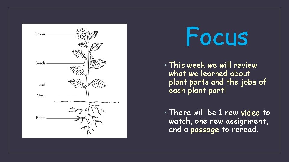 Focus • This week we will review what we learned about plant parts and