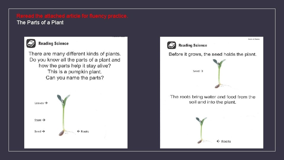 Reread the attached article for fluency practice. The Parts of a Plant 