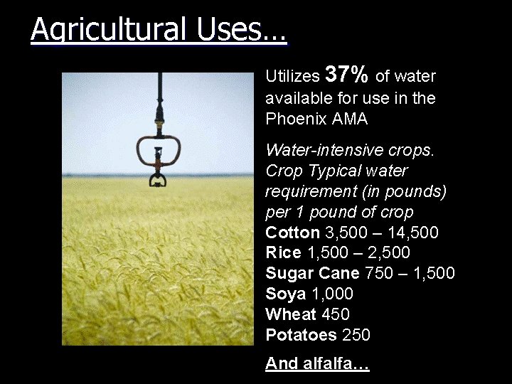 Agricultural Uses… Utilizes 37% of water available for use in the Phoenix AMA Water-intensive