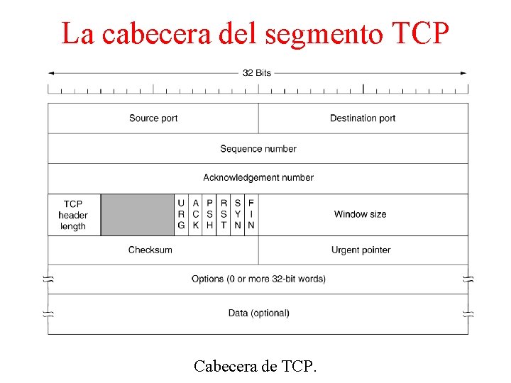 La cabecera del segmento TCP Cabecera de TCP. 