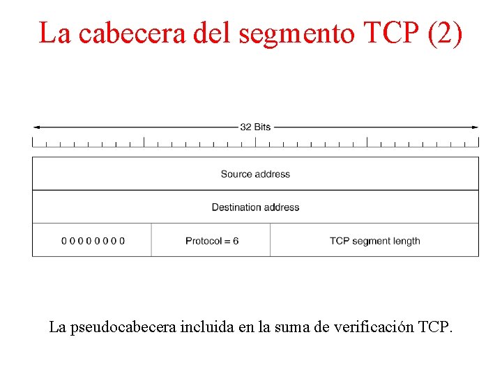 La cabecera del segmento TCP (2) La pseudocabecera incluida en la suma de verificación