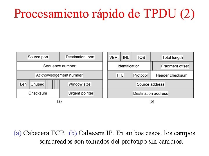 Procesamiento rápido de TPDU (2) (a) Cabecera TCP. (b) Cabecera IP. En ambos casos,