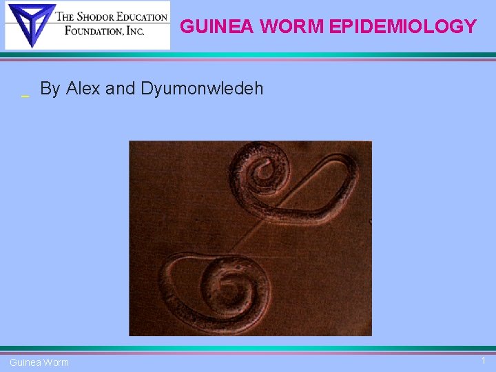 GUINEA WORM EPIDEMIOLOGY _ By Alex and Dyumonwledeh Guinea Worm 1 