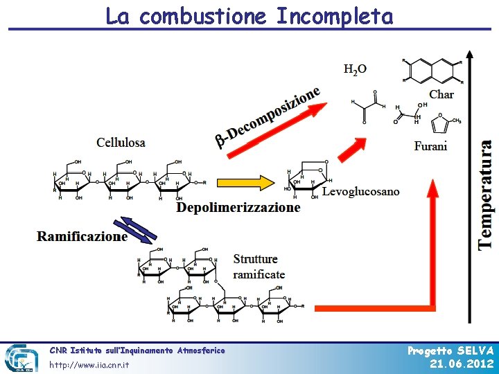 La combustione Incompleta CNR Istituto sull’Inquinamento Atmosferico http: //www. iia. cnr. it Progetto SELVA