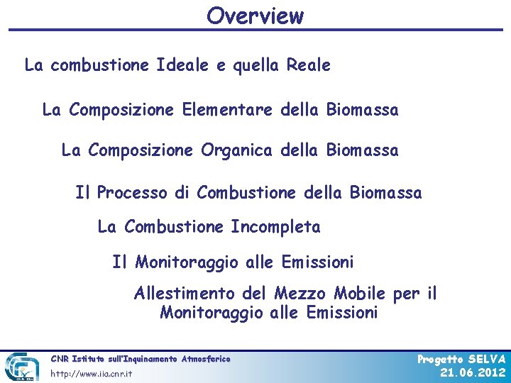 Overview La combustione Ideale e quella Reale La Composizione Elementare della Biomassa La Composizione