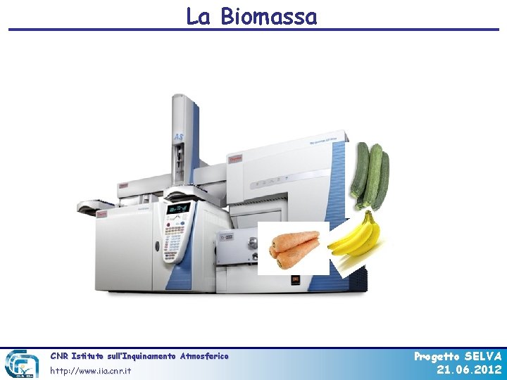 La Biomassa CNR Istituto sull’Inquinamento Atmosferico http: //www. iia. cnr. it Progetto SELVA 21.