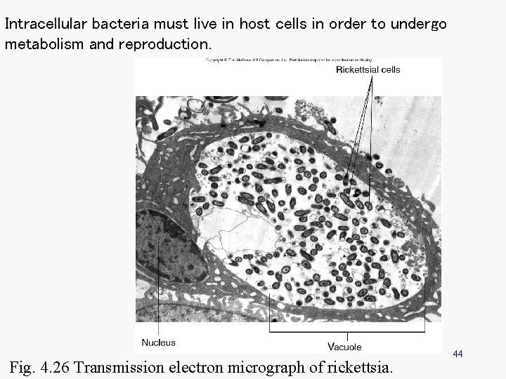 Intracellular bacteria must live in host cells in order to undergo metabolism and reproduction. Intracellular bacteria must live in host cells in order to undergo metabolism and reproduction.