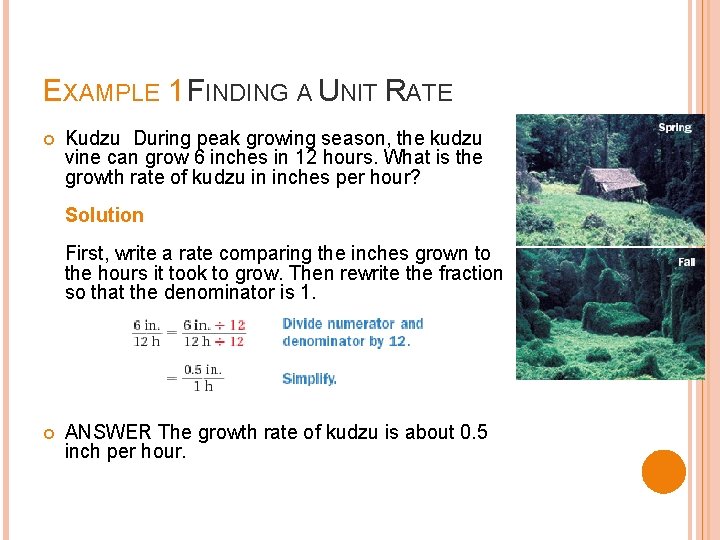 EXAMPLE 1 FINDING A UNIT RATE Kudzu During peak growing season, the kudzu vine