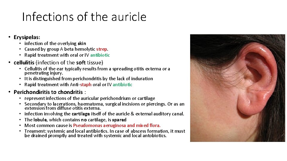 Infections of the auricle • Erysipelas: • infection of the overlying skin • Caused