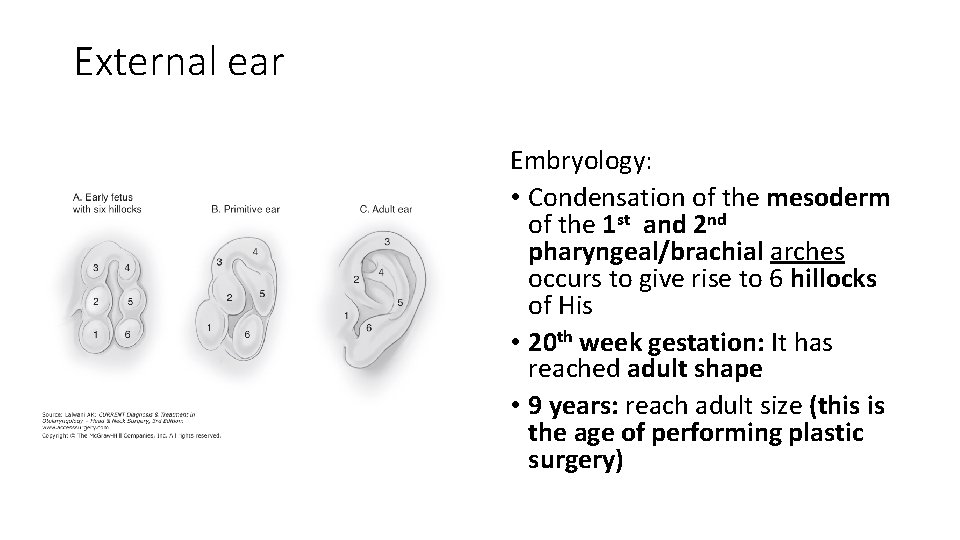 External ear Embryology: • Condensation of the mesoderm of the 1 st and 2