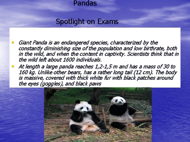 Pandas Spotlight on Exams • Giant Panda is an endangered species, characterized by the