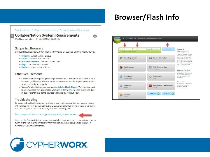 Browser/Flash Info 