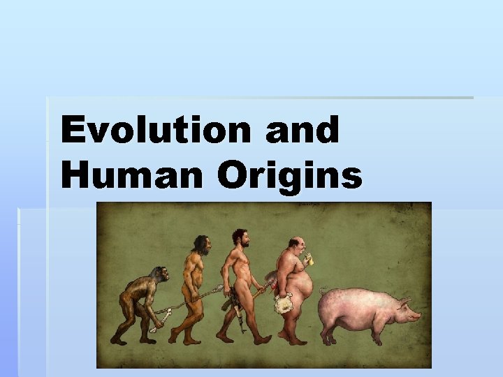 Evolution and Human Origins 