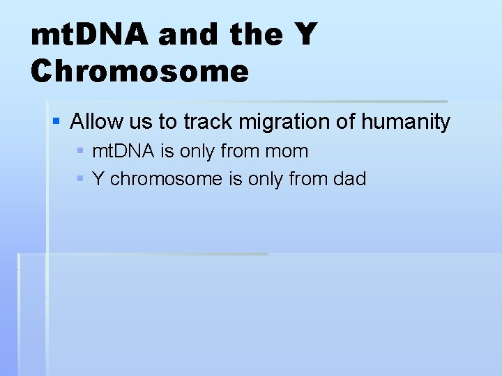 mt. DNA and the Y Chromosome § Allow us to track migration of humanity