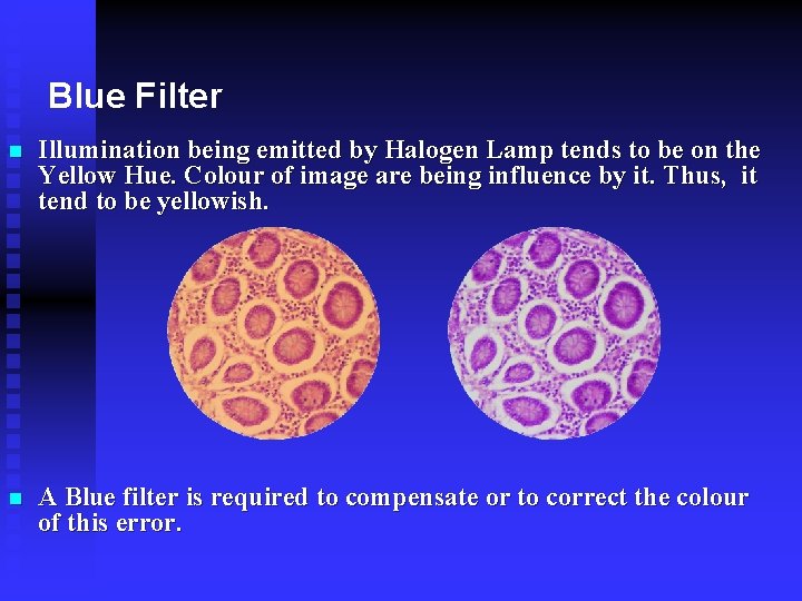 Blue Filter n Illumination being emitted by Halogen Lamp tends to be on the