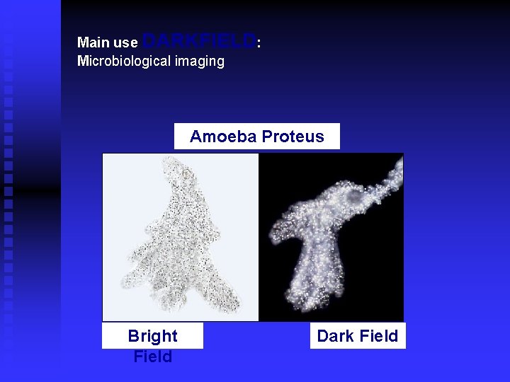 Main use DARKFIELD: Microbiological imaging Amoeba Proteus Bright Field Dark Field 