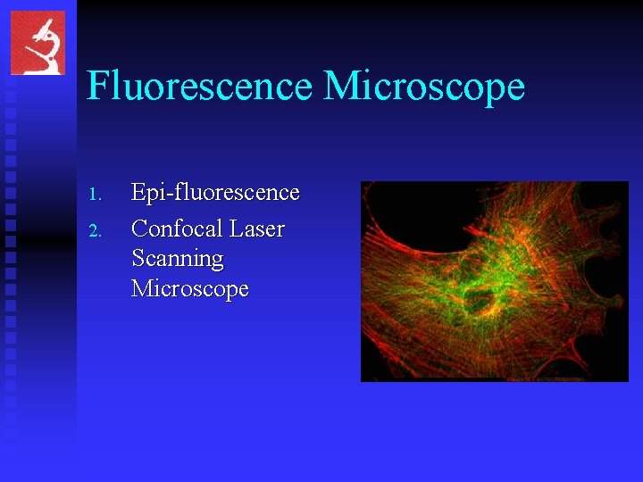 Fluorescence Microscope 1. 2. Epi-fluorescence Confocal Laser Scanning Microscope 