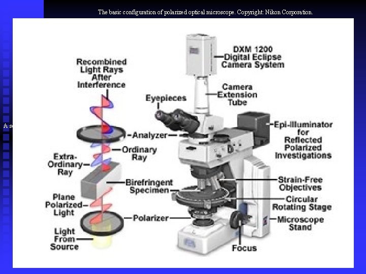 The basic configuration of polarized optical microscope. Copyright: Nikon Corporation. A schematic 
