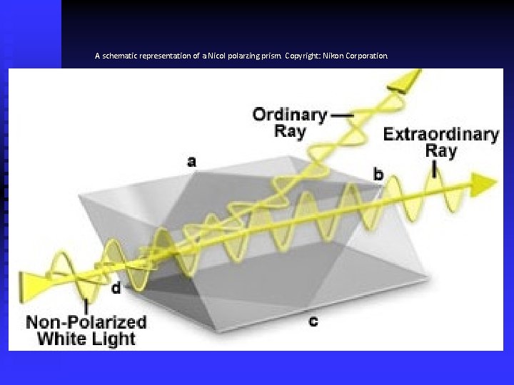 A schematic representation of a Nicol polarzing prism. Copyright: Nikon Corporation. 