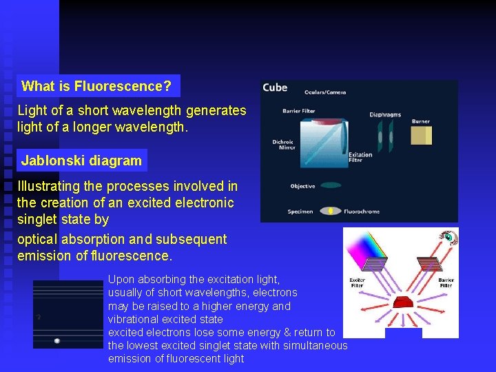 What is Fluorescence? Light of a short wavelength generates light of a longer wavelength.