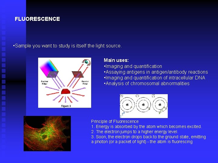 FLUORESCENCE • Sample you want to study is itself the light source. Main uses: