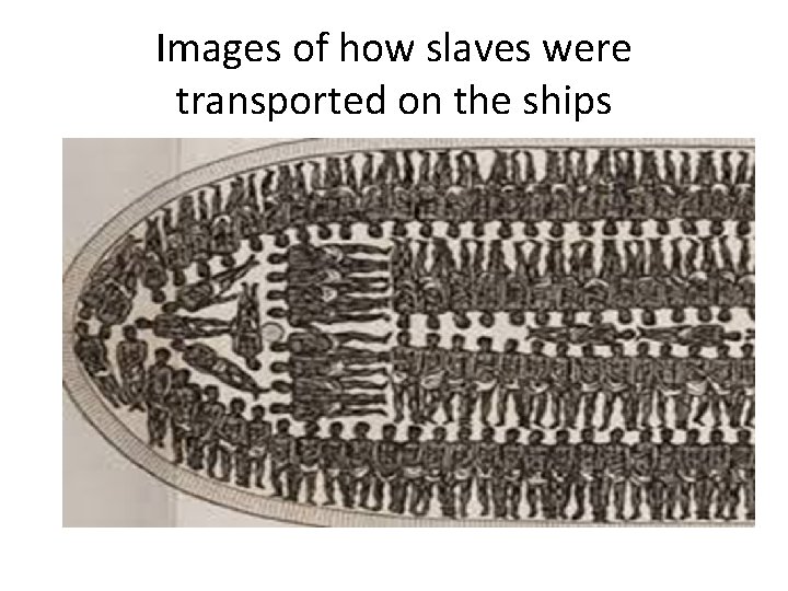 Images of how slaves were transported on the ships 