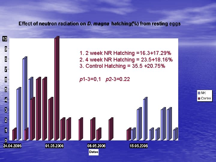 1. 2 week NR Hatching =16. 3+17. 29% 2. 4 week NR Hatching =