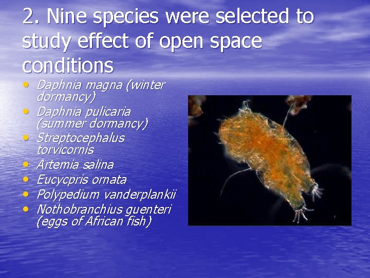 2. Nine species were selected to study effect of open space conditions • Daphnia