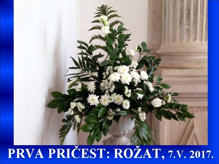 PRVA PRIČEST: ROŽAT, 7. V. 2017. 