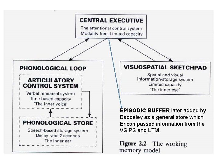 EPISODIC BUFFER later added by Baddeley as a general store which Encompassed information from